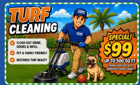 Turf cleaning $99 special — up to 500 sq ft. Flushes out urine, odors and infill, pet and family friendly, restores turf beauty. Call for details.